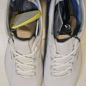 에코 여성용 골프화 새상품