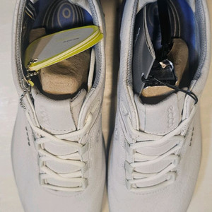 에코 여성용 골프화 새상품