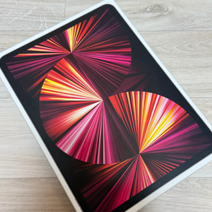 아이패드프로11 m1모델 3세대 256GB(셀룰러)+애플펜슬+매직키보드