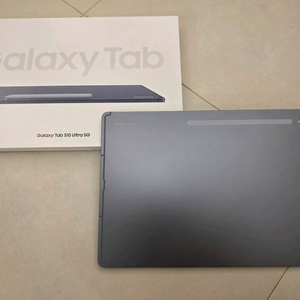 갤럭시 탭S10 울트라 5G 512GB 문스톤 그레이 S급 삼케플