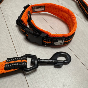 트루러브 강아지 목줄 (중대형견용)