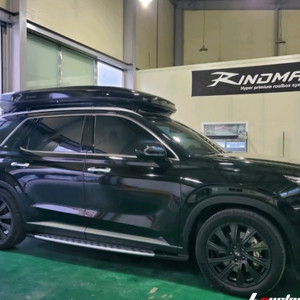 팰리세이드 린드메이드 블랙 삽니다