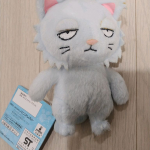 은혼 긴토키 네코 누이 이미지