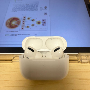 에어팟 프로1