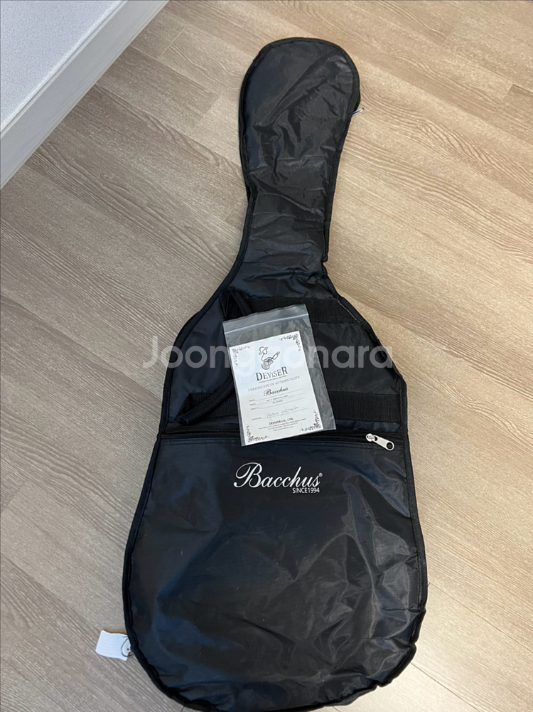 입문급 일렉기타 바커스 BST-2-RSM--6