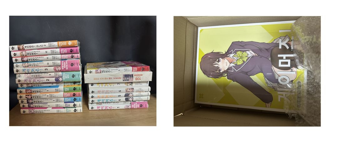 라노벨, 코믹 만화책 (고블린 슬레이어, 리제로, 청춘 돼지 시리즈, 게이머즈, 소아온 등) 이미지