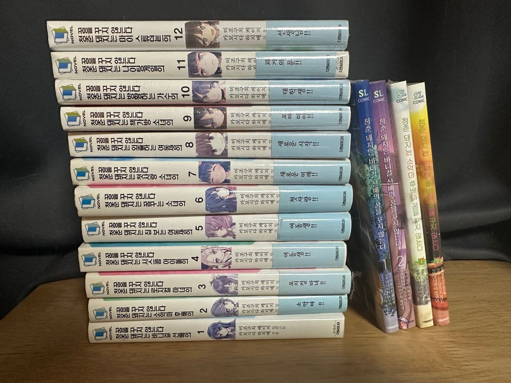 라노벨, 코믹 만화책 (고블린 슬레이어, 리제로, 청춘 돼지 시리즈, 게이머즈, 소아온 등) 이미지