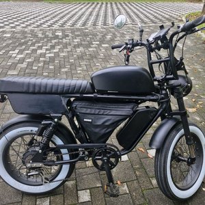 민스터 전기자전거 자토바이 판매 (1000W 50ah)