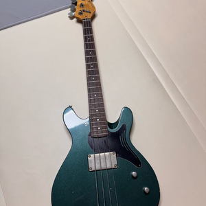 Sandberg Florence 베이스 기타