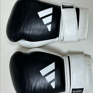 아디쇼리 쇼리 복싱글러브 14온즈