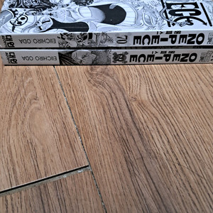 원피스 만화책 2권 5천원