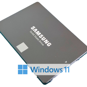 윈도우 11 설치 삼성 870 EVO SATA 2.5인치 250GB SSD 노트북 데스크탑 PC