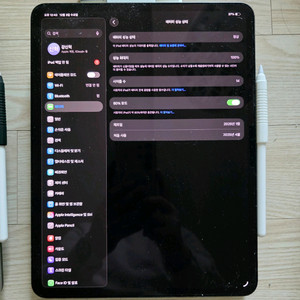 아이패드 프로 m4 13인치 256기가 애플펜슬2 포함