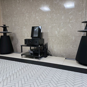 B&O 뱅엔올룹슨 beolab5 베오랩5 스피커