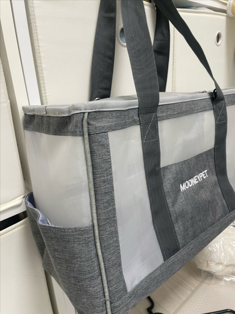 기내 가능 강아지 이동가방--6