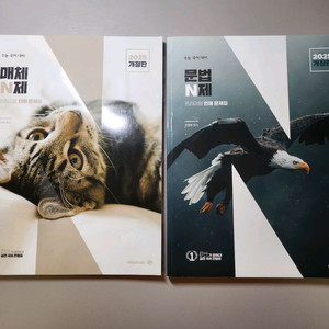 전형태 문법 매체 n제 (일괄)