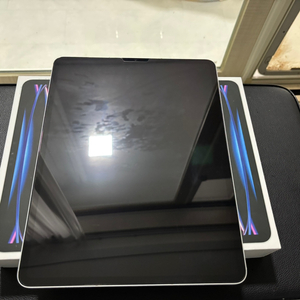 아이패드 (6세대) 12.9 프로 m2 셀룰러 1TB + 매직키보드 펜슬