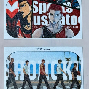 [새상품] 아이폰 17 프로맥스 카메라 플래토 스킨