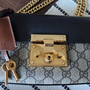 구찌 GG 캔버스 체인백