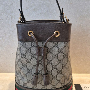 구찌 버킷백 스몰