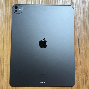 아이패드 프로 13인치 M4 256GB