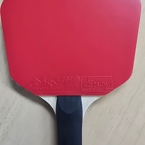 탁구라켓 이미지