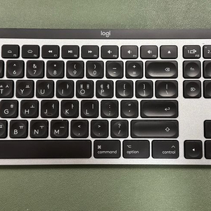 로지텍 MX Keys for Mac 키보드+팜레스트