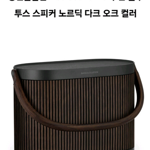 뱅앤올룹슨 Beo Sound A5 무선 블루투스 스피커