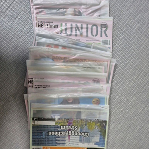 엔이타임즈 주니어