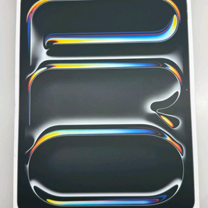 아이패드프로 13인치 M4 256GB