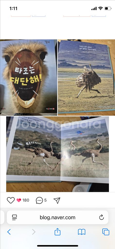 그레이트북스 놀라운 자연--1