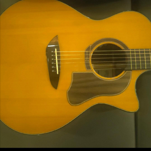 고퍼우드 어쿠스틱 기타 급처