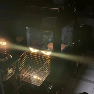 디트로네S 하이리무진(블랙)+웨건프레임(블랙)+루프트레이+눈알LED+루프선풍기 이미지