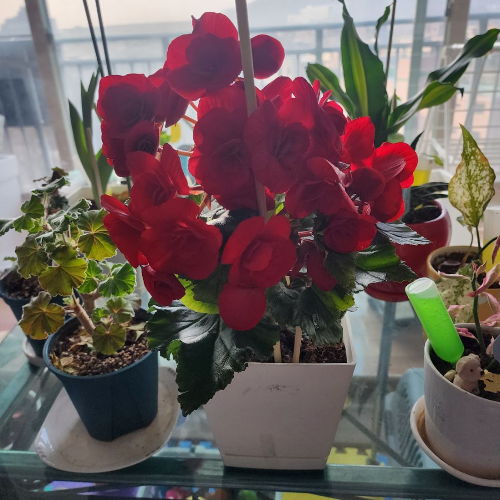 프로필 이미지