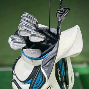 테일러메이드 스텔스 드라이버/포틴 아이언세트