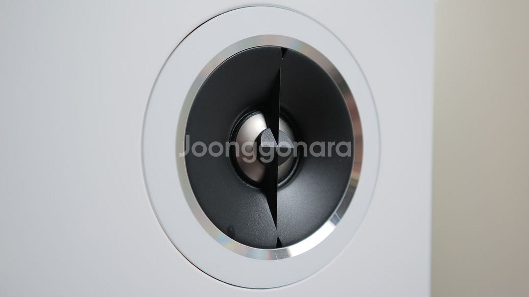 택배 가능 캐나다 PSB Imagine T54 톨보이 스피커 + 블루사운드 파워노드 3--3