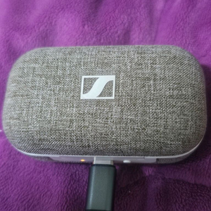 젠하이저 모멘텀 트루 와이어리스2 M3IETW2