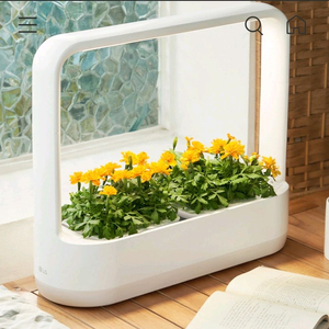 LG 틔운 미니 + 씨앗키트 새상품