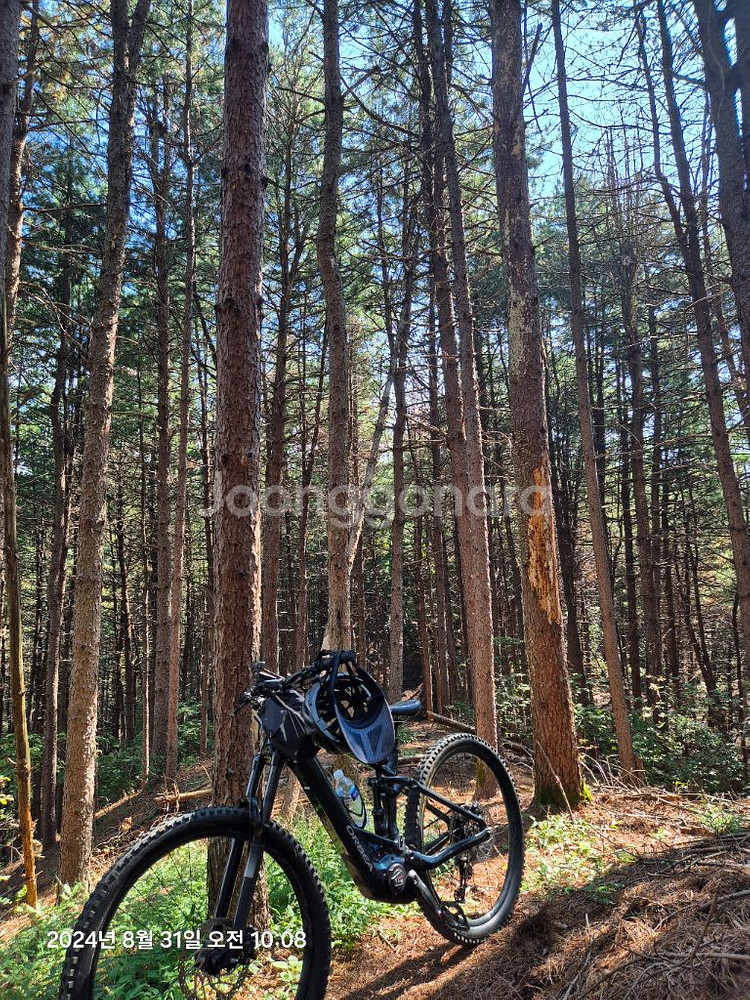 전기산악자전거 오베아--4