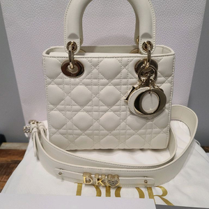 레이디 디올 스몰