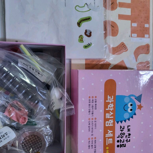 최신판 내친구 과학공룡