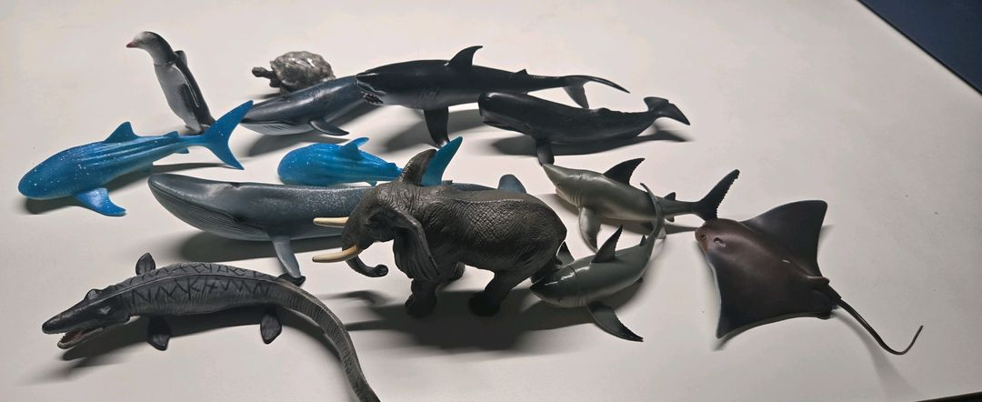 동물 피규어 세트--0