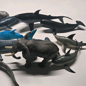 동물 피규어 세트