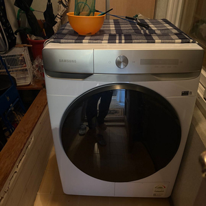 삼성 더 프리미엄 드럼세탁기 19kg