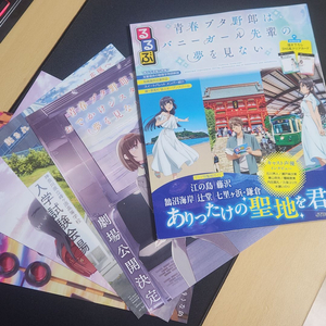 청춘돼지 포스터 4종 + 여행 가이드북