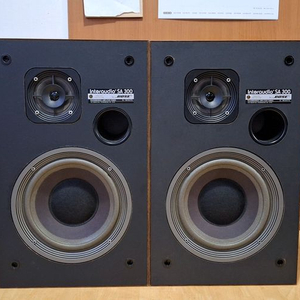 BOSE SA 300 interaction
