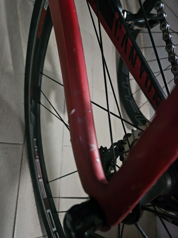 캐니언에어로드 로드 자전거 듀라/울테 di2 판/대 이미지