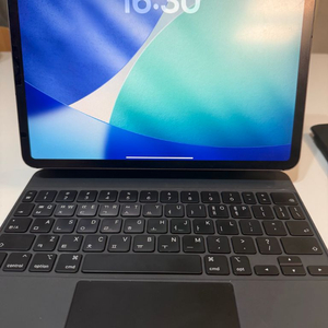 아이패드프로 11인치 1세대 256 셀룰러 + 매직키보드