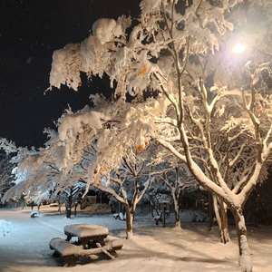 바이맘 암막텐트 삽니다 서울직거래가능