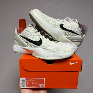 [235]코비6 프로트로 세일